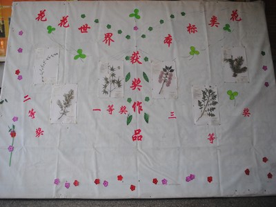 5.9 “花花世界”花类标本制作大赛圆满结束01