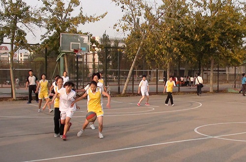 11.6 历史文化学院男女篮球队在学校2012年“迎新杯”中获佳绩04