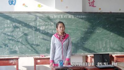 260138861